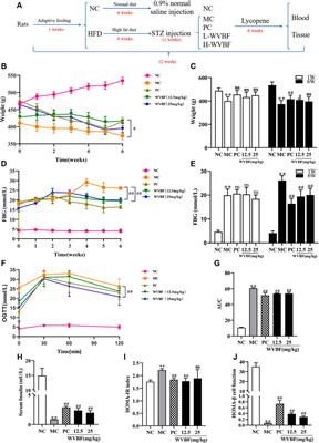 Veratrilla baillonii Franch Ameliorates Diabetic Liver Injury by Alleviating Insulin Resistance in Rats